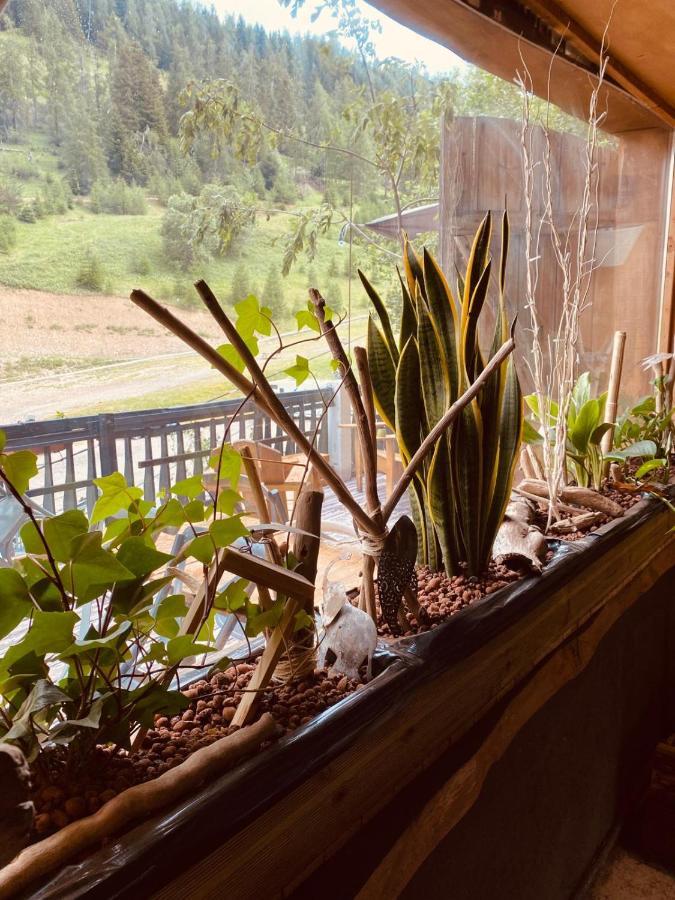 Hotel Green Ecolodge La Colmiane Εξωτερικό φωτογραφία