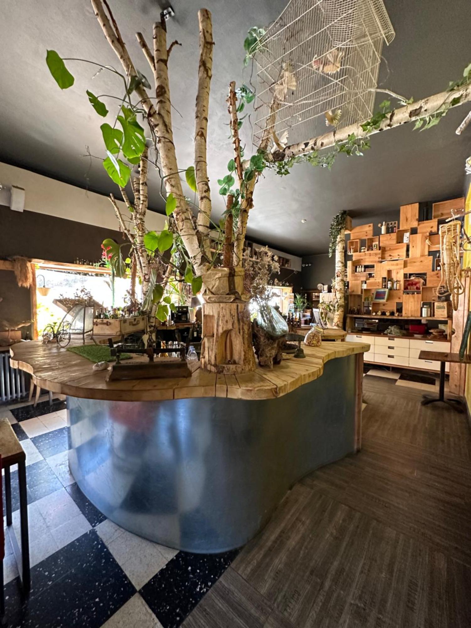 Hotel Green Ecolodge La Colmiane Εξωτερικό φωτογραφία
